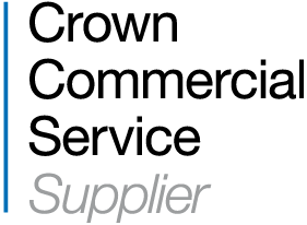 Public Sector Frameworks 