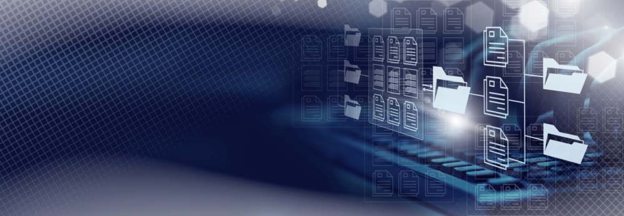 Document Management System