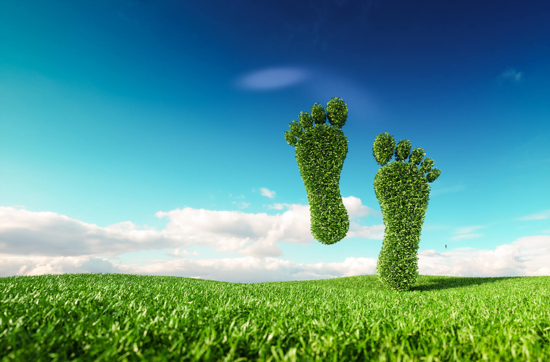 Sustainable document management solutions and services from Cleardata